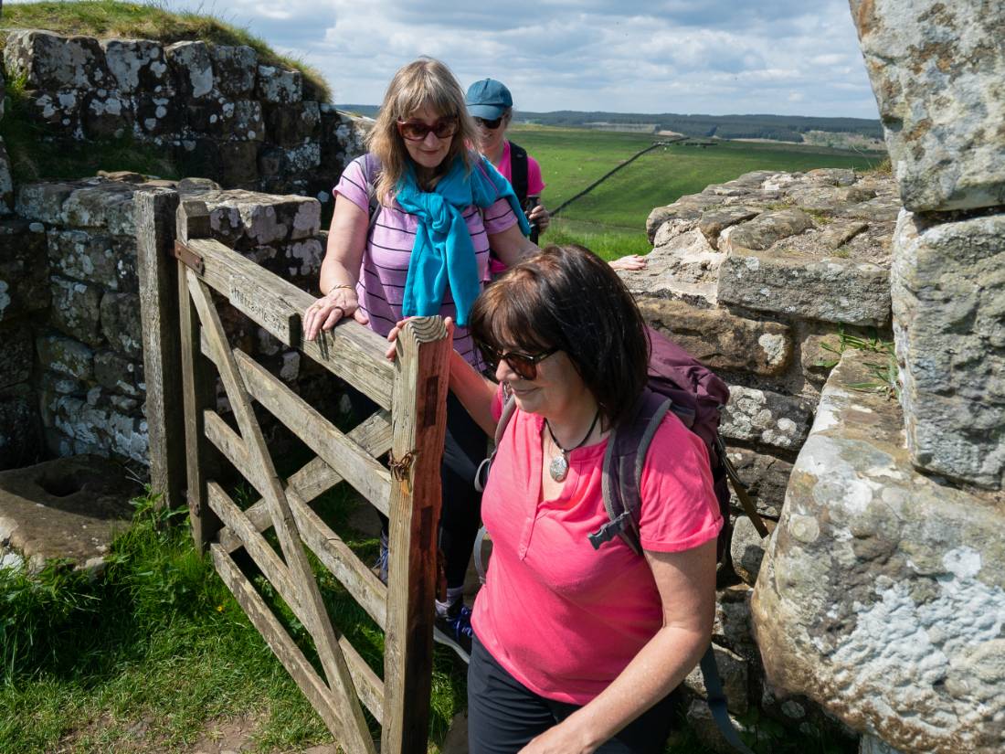 Passing between fields on the Hadrian's Wall Path |  <i>Matt Sharman</i>