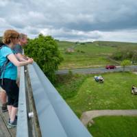 Taking a moment to bask in the English countryside | Matt Sharman