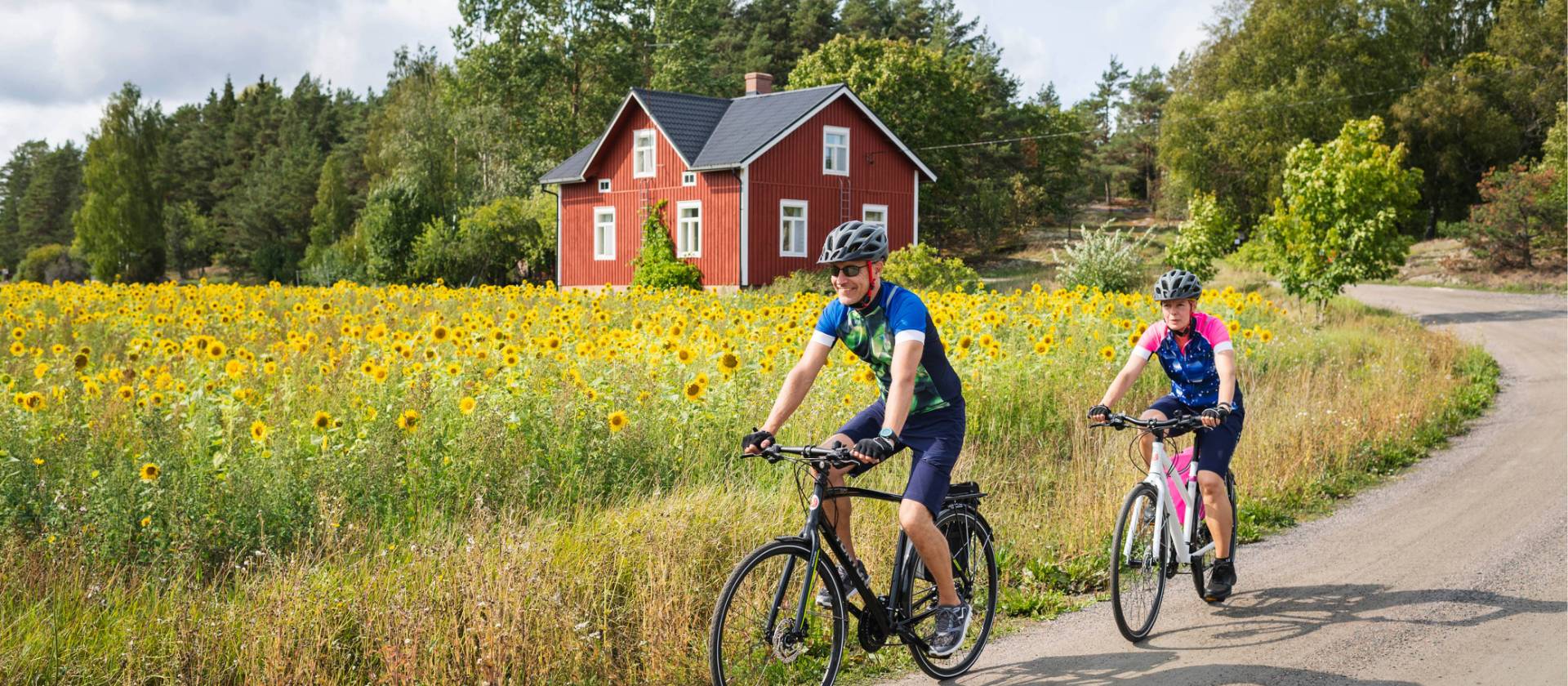 Cyclists enjoying the sunflowers as they cycle in the Turku Archipelago