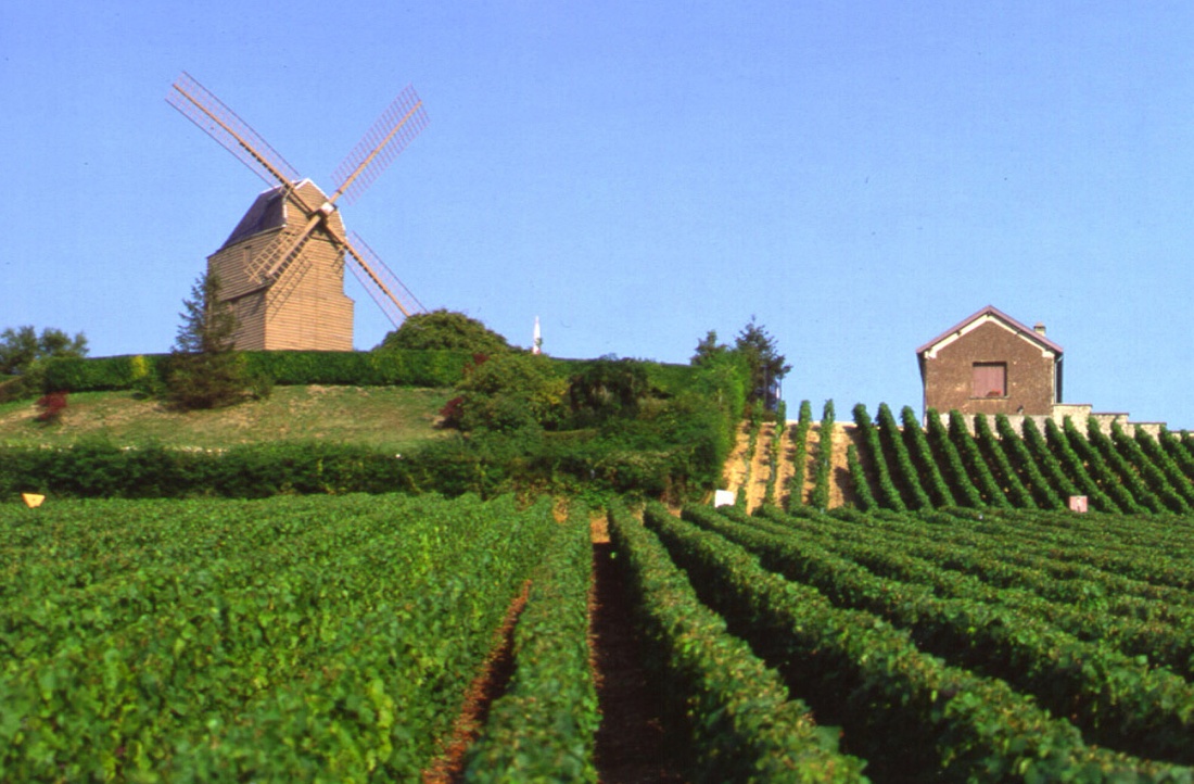 Verzenay mill in the Champagne vineyards | <i>Oxley</i>