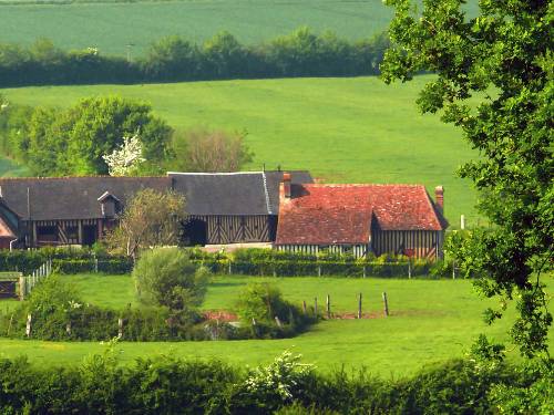 Half timbered houses in the Auge countryside, Normandy&#160;-&#160;<i>Photo:&#160;Atout France</i>