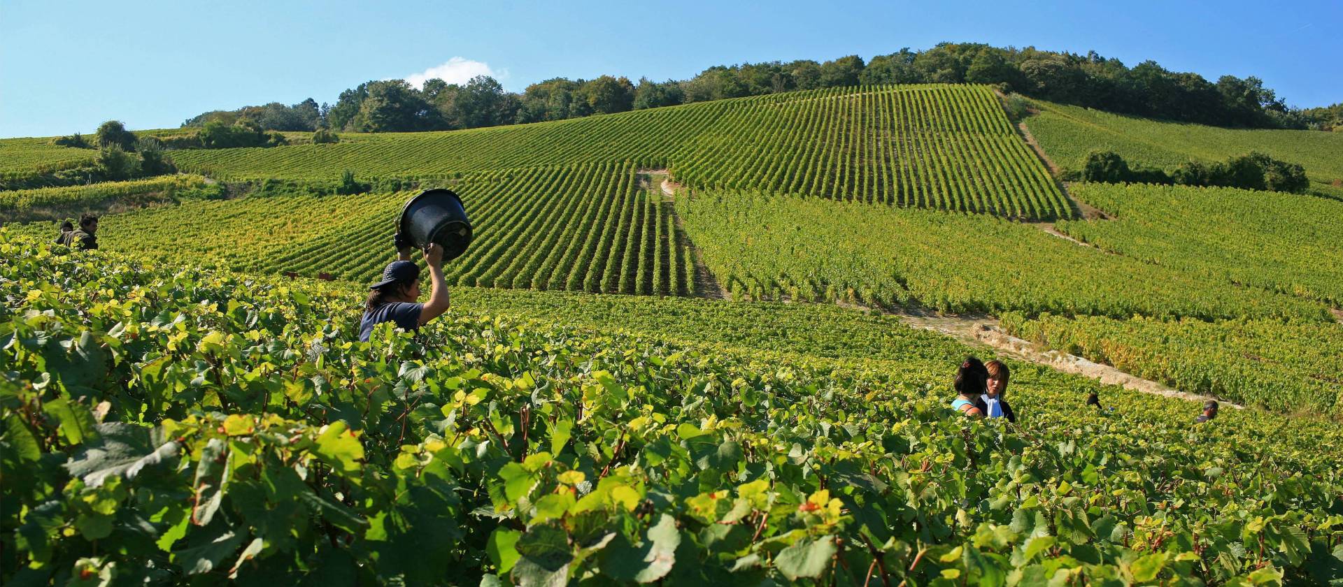 Champagne Trails Cycle Tour Guided European Bike Holiday