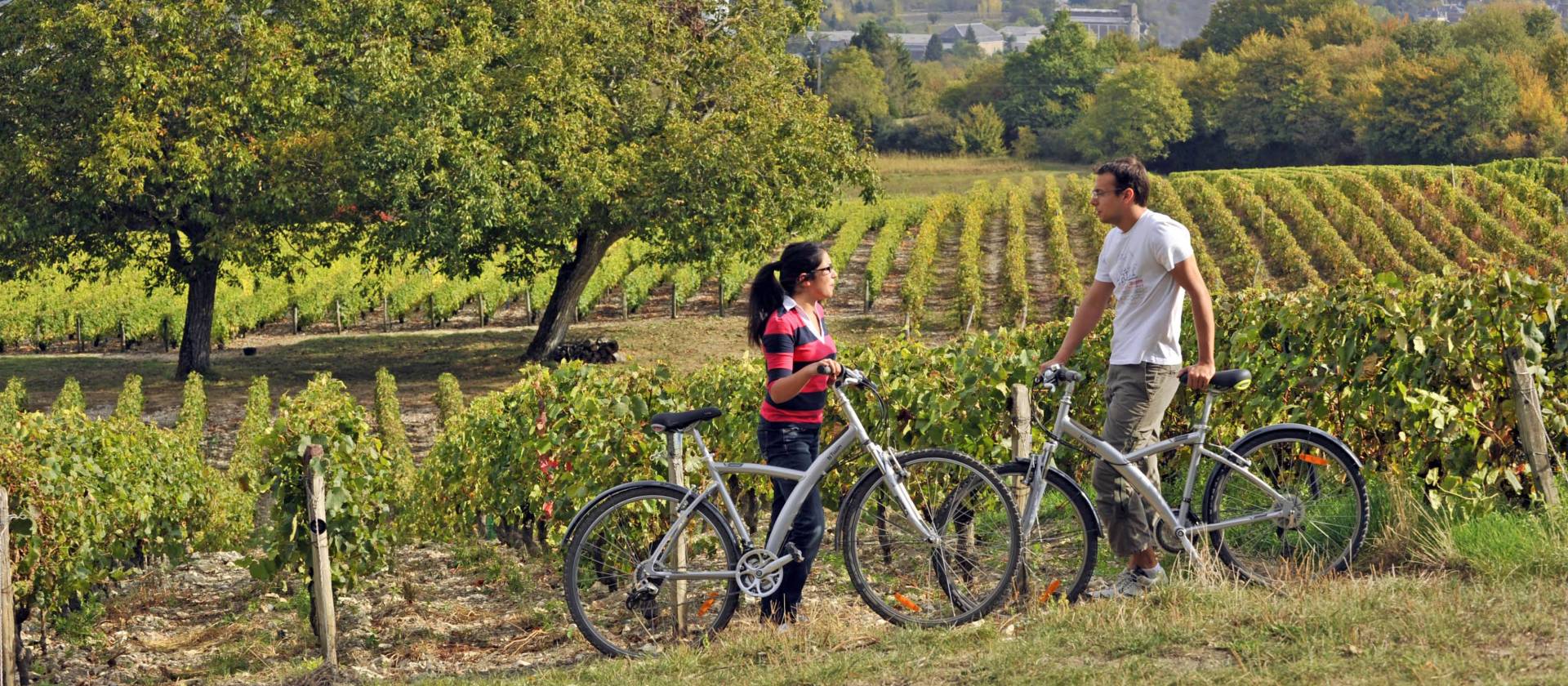 Cyclists in a Sancerre vineyard | Joel Damase