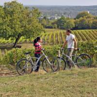 Cyclists in a Sancerre vineyard | Joel Damase