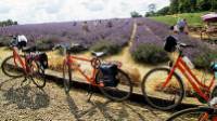 Cycling on the Paris to London cycle path