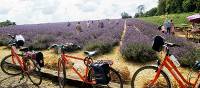 Cycling on the Paris to London cycle path