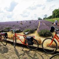 Cycling on the Paris to London cycle path