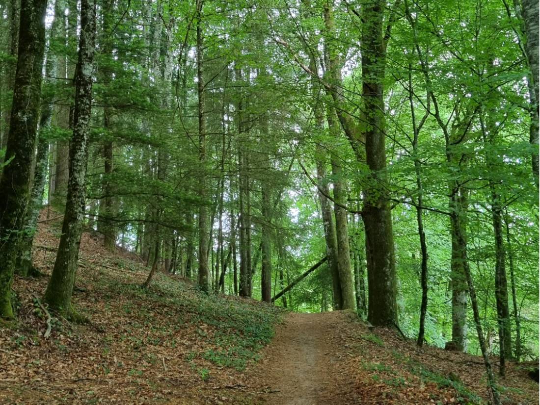 Scenes along the French Way of St James |  <i>Heath de Burgh</i>