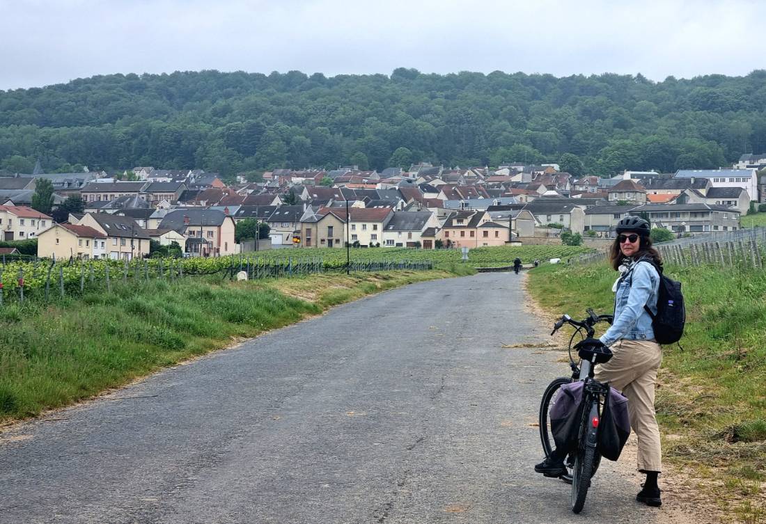 Scenes from cycling France's Champagne Trails |  <i>Sue Marr</i>