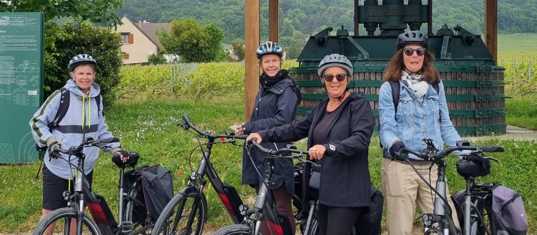 Scenes from cycling France's Champagne Trails |  <i>Sue Marr</i>