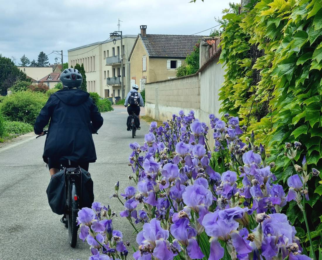 Highlights of cycling France's Champagne trails |  <i>Sue Marr</i>