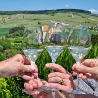 Enjoying champagne in France | Sue Marr