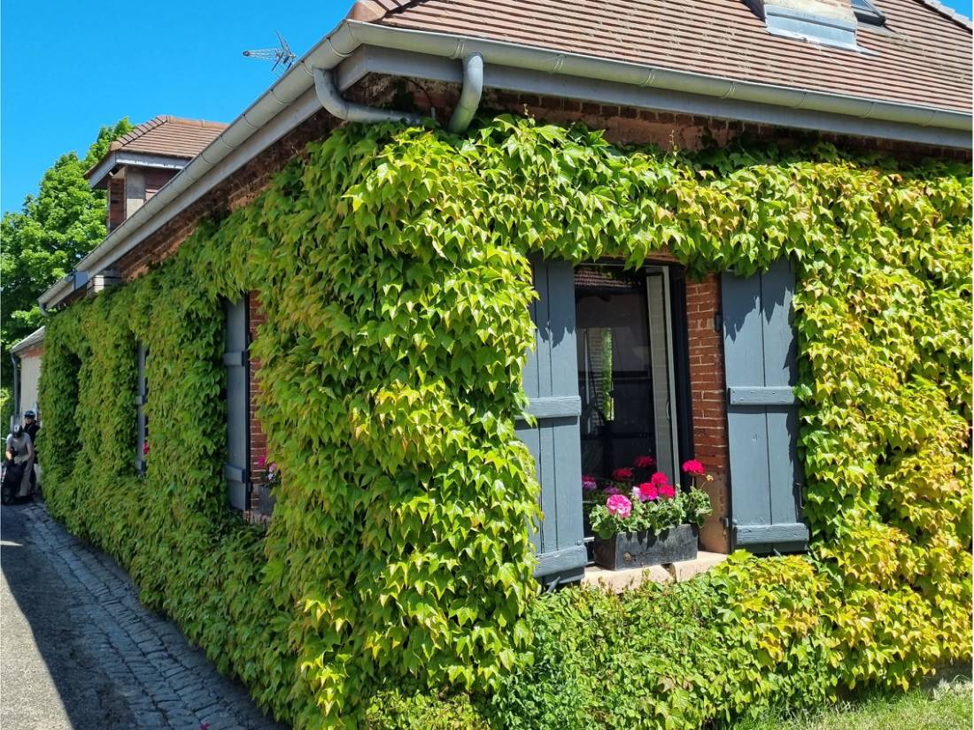 Charming wall fronts in France |  <i>Sue Marr</i>