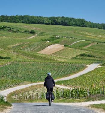 Cycling the Champagne trails of France |  <i>Sue Marr</i>