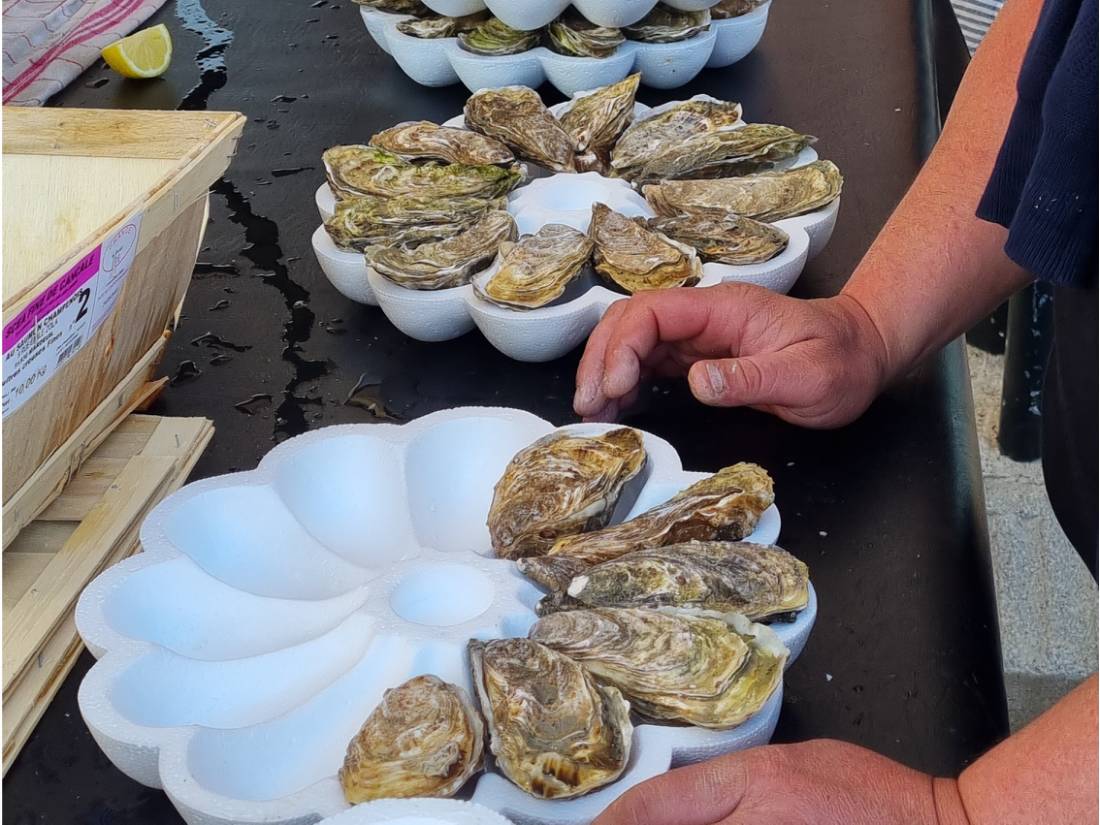 Oysters in France |  <i>Sue Marr</i>