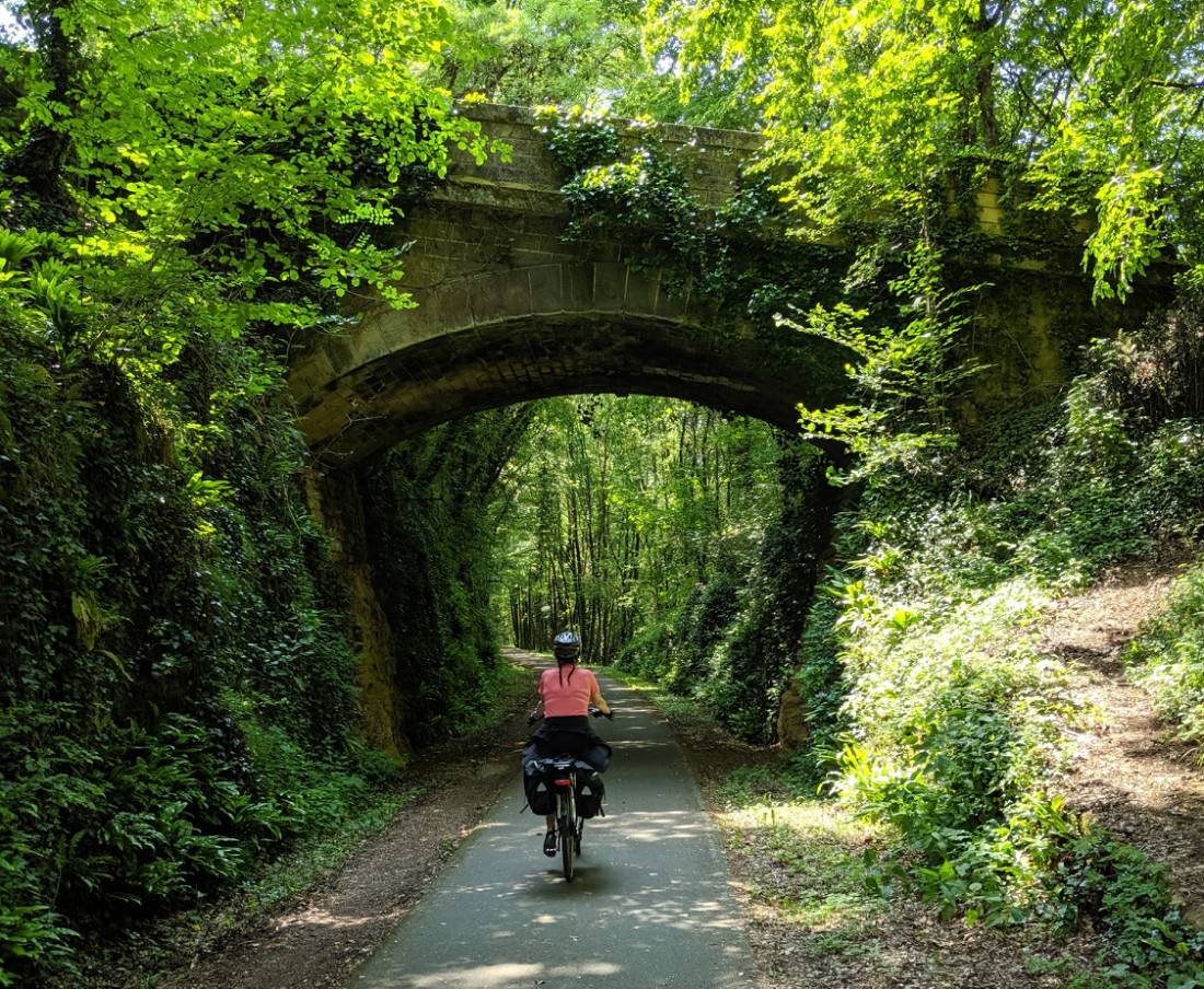 Cycling through the forests of the Dordogne |  <i>Rob Mills</i>