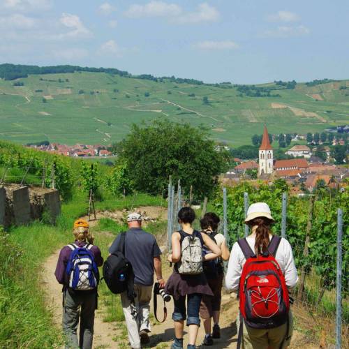 Calendrier Trail Alsace 2023 Alsace Self Guided Walking Holiday | France Walking Tours