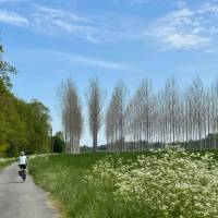 A perfect day cycling from Bordeaux to Toulouse | Joanne Walsh