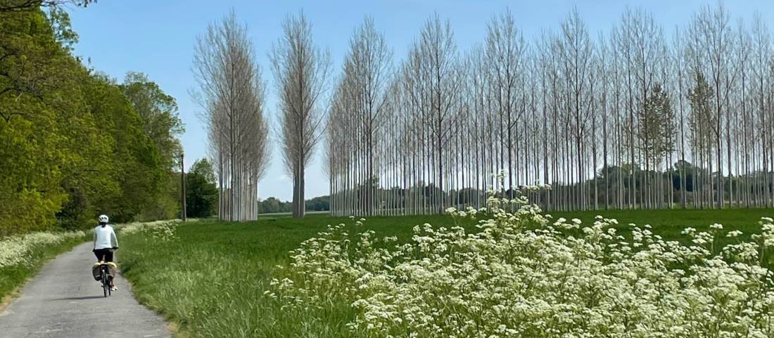 A perfect day cycling from Bordeaux to Toulouse |  <i>Joanne Walsh</i>
