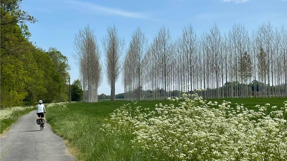 A perfect day cycling from Bordeaux to Toulouse |  Joanne Walsh