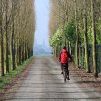 A cyclist on tree lined avenue with Bayeux cathedral in distance | Kate Baker