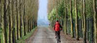 A cyclist on tree lined avenue with Bayeux cathedral in distance | Kate Baker