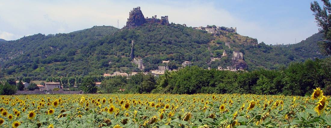 Admire the gorgeous Chateau de Rochemaure in France.