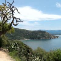 Winding roads near Ajaccio, Corsica | Monique Perras