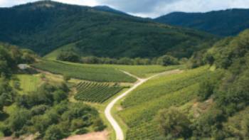 Alsace Wine trail Vosges France,Istock Photos Vineyard in the Vosges Mountains, Alsace region