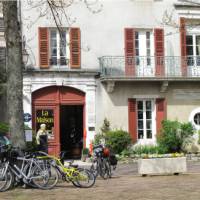 Bikes in front of Olivier Leflaive, Burgundy | Kate Baker