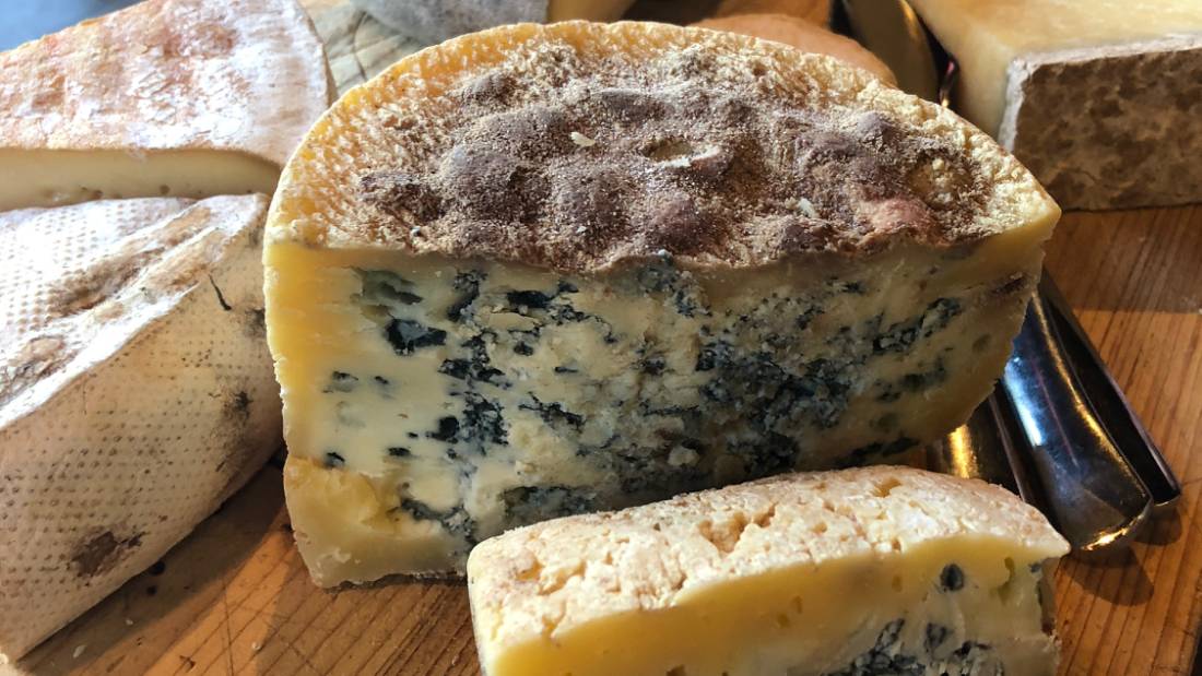 Bleu_d'Auvergne_cheese |  <i>Jaclyn Lofts</i>