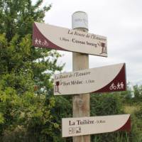 Bordeaux Medoc signposts | Jaclyn Lofts