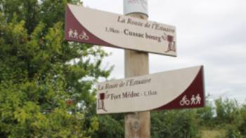 Bordeaux Medoc signposts,Jaclyn Lofts Bordeaux Medoc signposts