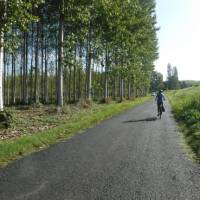 Cycling past forests on quiet country roads in the Bordeaux region | Efti Nure