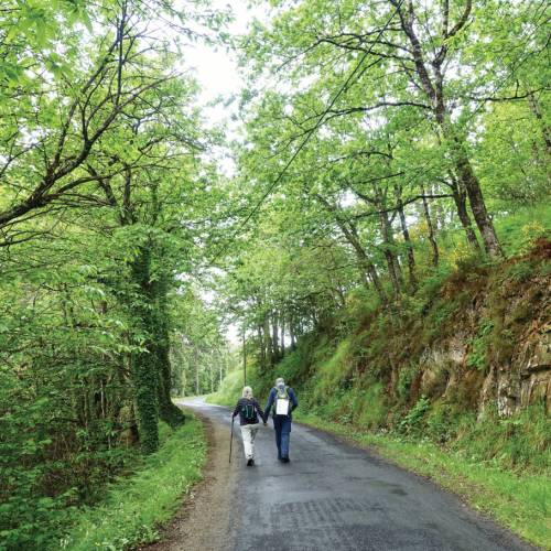 Camino Information | Camino De Santiago Tours | Utracks