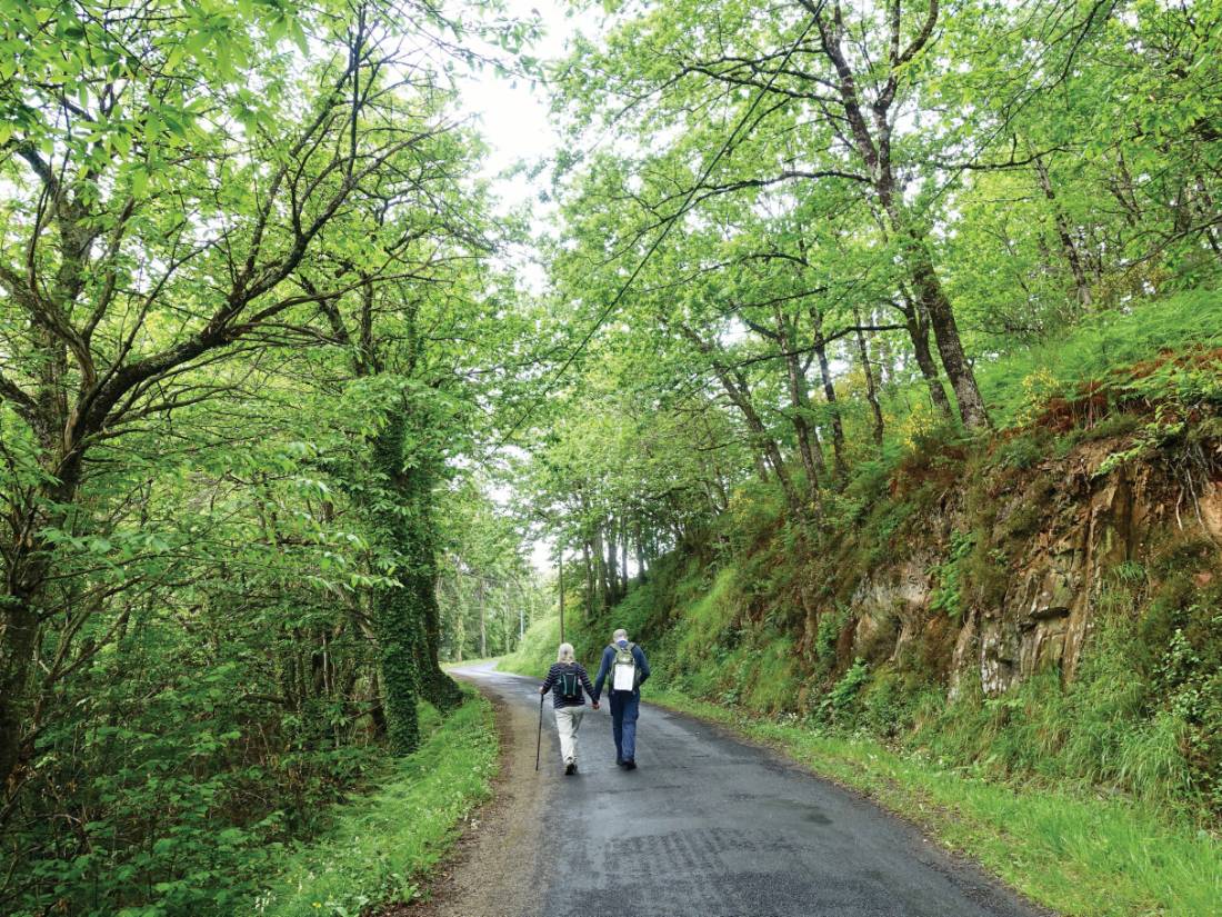 Walking the vibrant Camino Trail |  <i>Rob Mills</i>