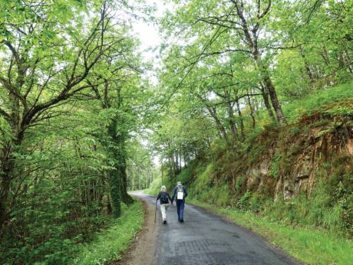 Walking the vibrant Camino Trail | <i>Rob Mills</i>