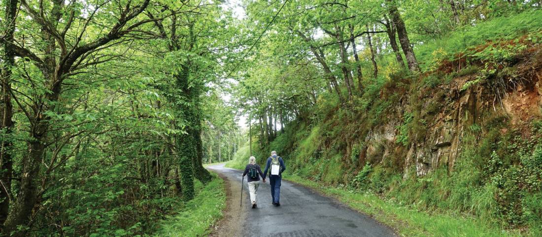 Walking the vibrant Camino Trail |  <i>Rob Mills</i>