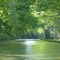 Canal du Midi near Carcassonne | Robin Spry