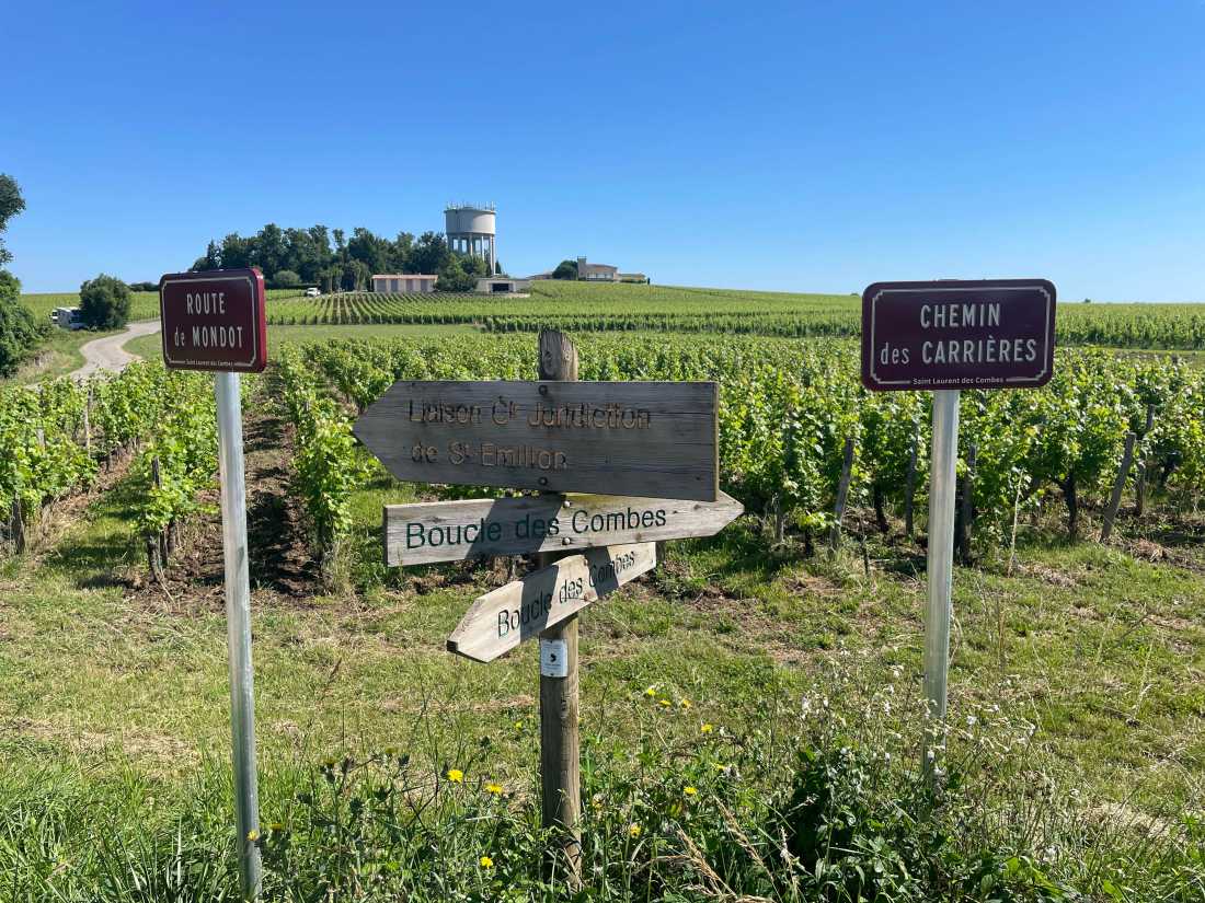 Highlights from walking among the vineyards of Bordeaux |  Tali Emdin