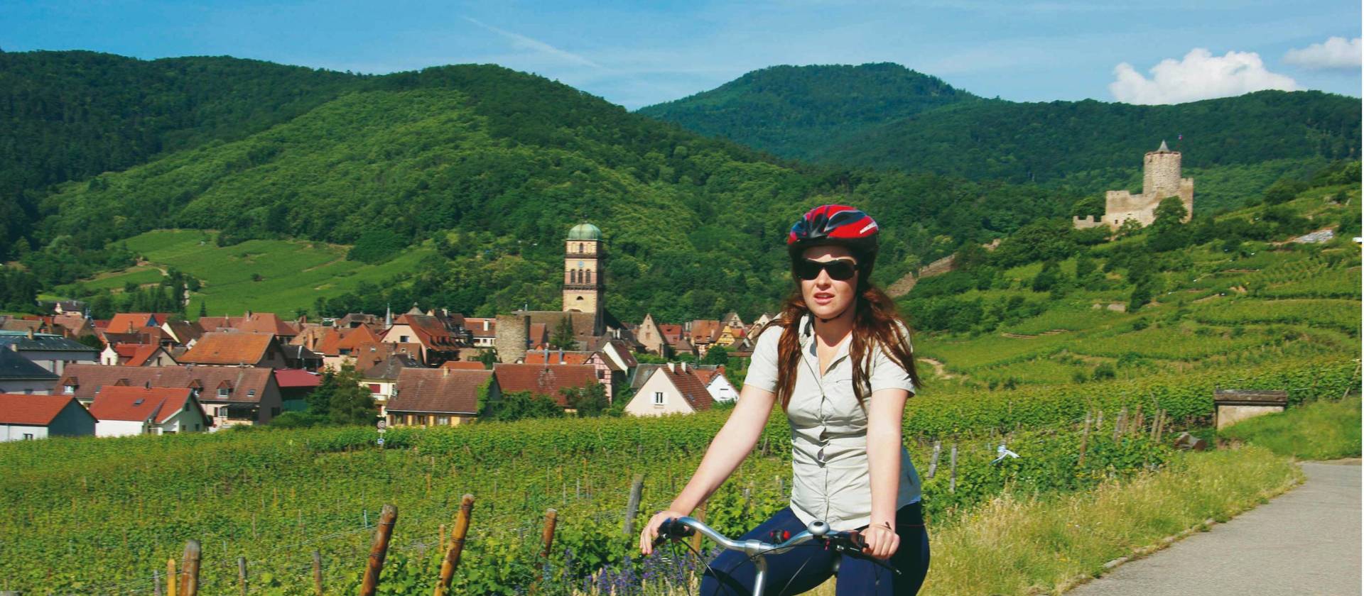 Rhine shop valley cycles