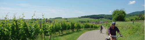 road bike tours france