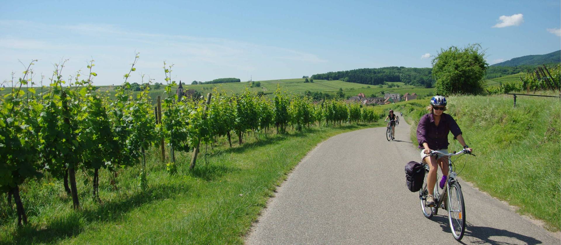 Cycling past vineyards in the Alsace region of France