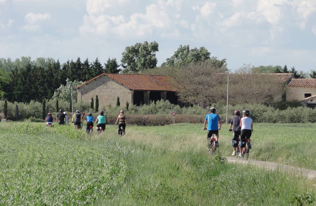 Cycling through the villages of Provence |  <i>Erin Williams</i>