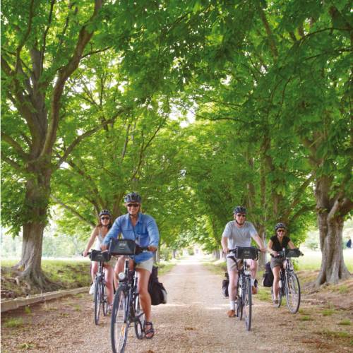 Provence Alpilles by Bike Self Guided Cycling Trip