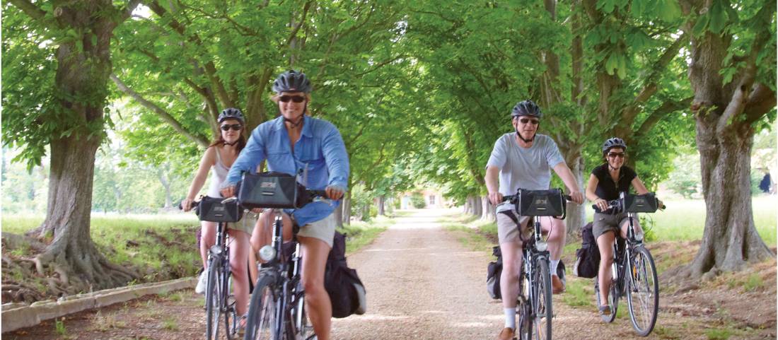 Cycling in Provence, France |  <i>Ewen Bell</i>