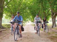 Cycling in Provence, France |  <i>Ewen Bell</i>