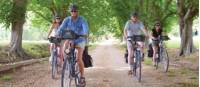 Cycling in Provence, France |  <i>Ewen Bell</i>