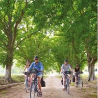 Cycling in Provence, France | Ewen Bell