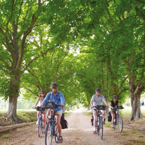 Cycling Tour Luberon Velo Highlights Of Provence By Bike Holiday